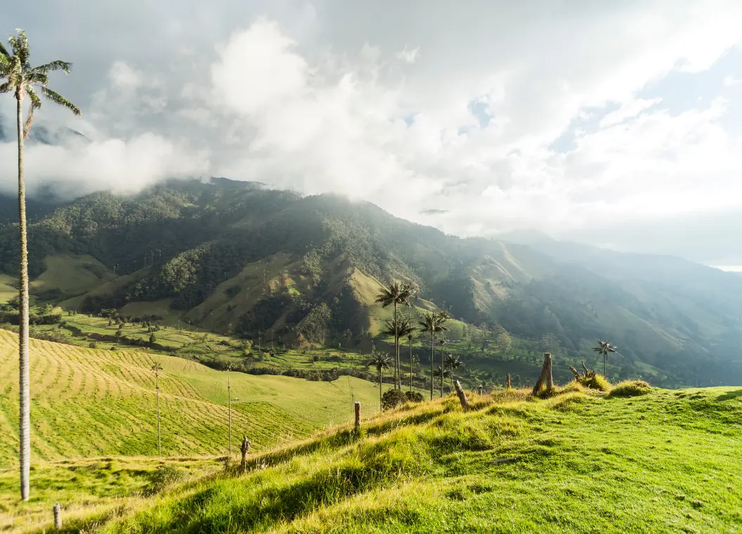 Qué hacer en Departamento del Quindío